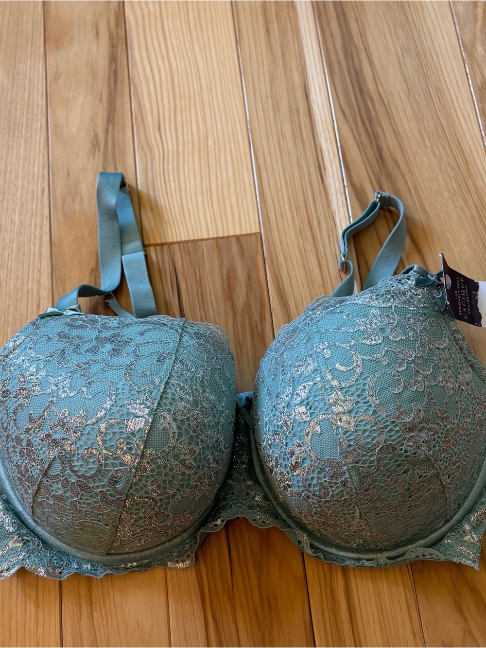 NEW Cacique Boost Balconette Aqua Silver Lace Seriously Sexy Bra Plus Size 42DDD